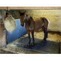 Cow Horse Matting Naturkautschuk Matting Horse Rubber Mat